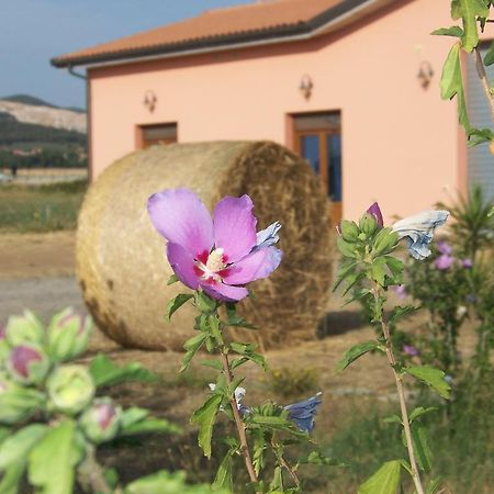 Agriturismo La Nocciolina 벤투리나 외부 사진