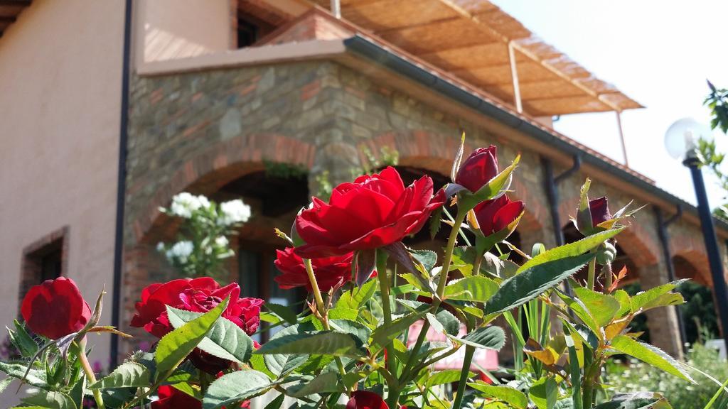 Agriturismo La Nocciolina 벤투리나 외부 사진
