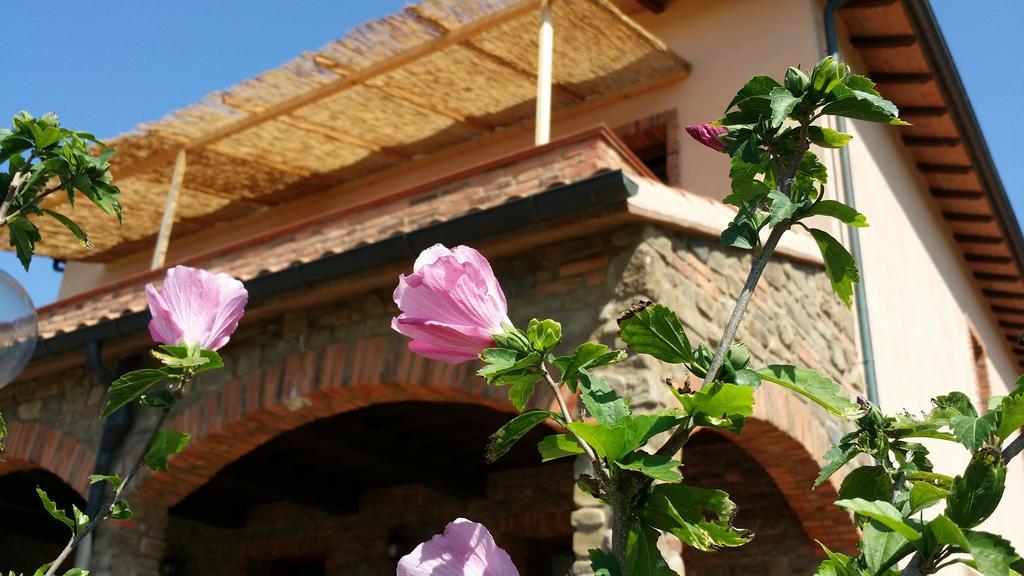 Agriturismo La Nocciolina 벤투리나 외부 사진