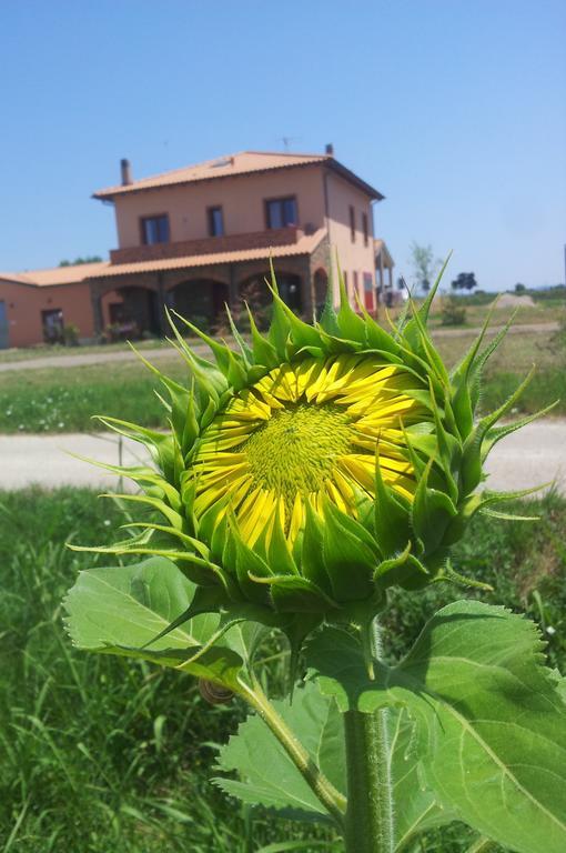 Agriturismo La Nocciolina 벤투리나 외부 사진