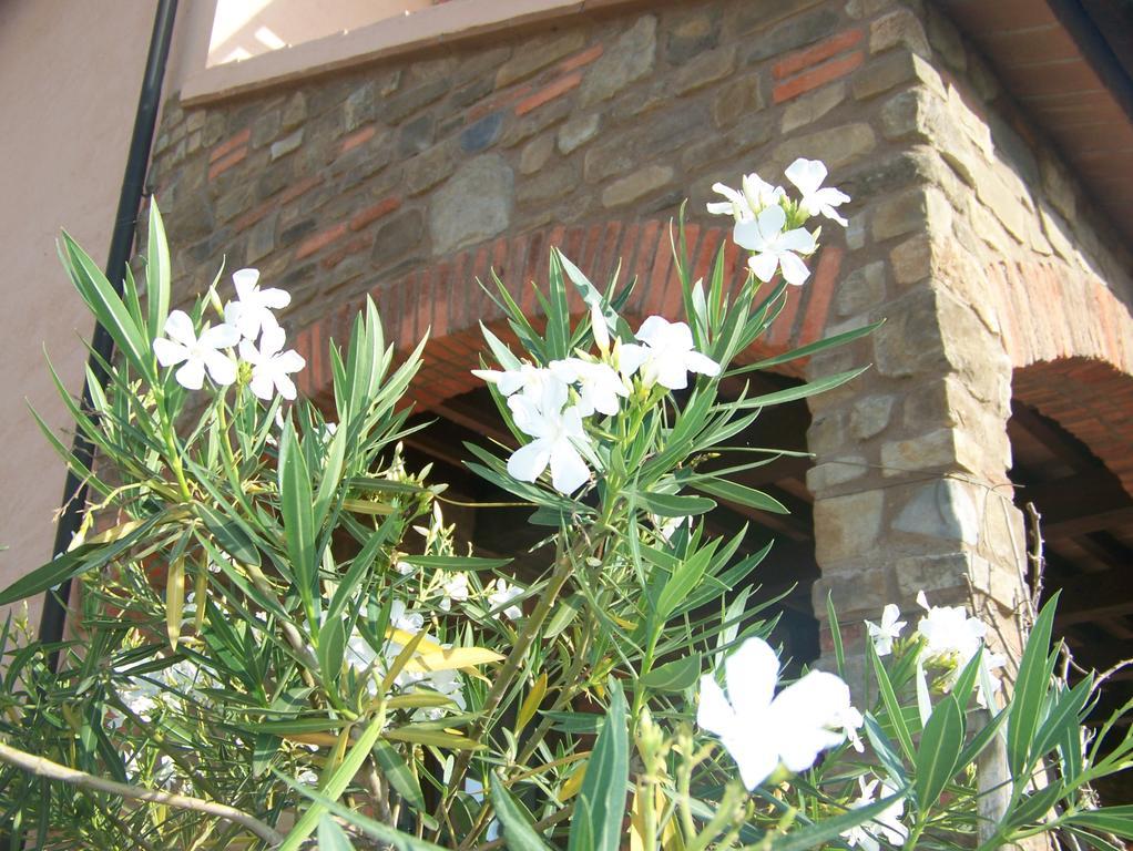 Agriturismo La Nocciolina 벤투리나 외부 사진