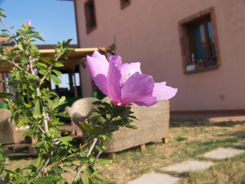 Agriturismo La Nocciolina 벤투리나 외부 사진