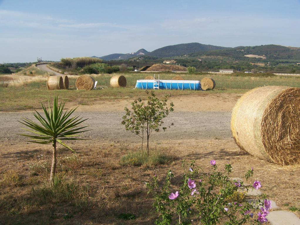 Agriturismo La Nocciolina 벤투리나 외부 사진