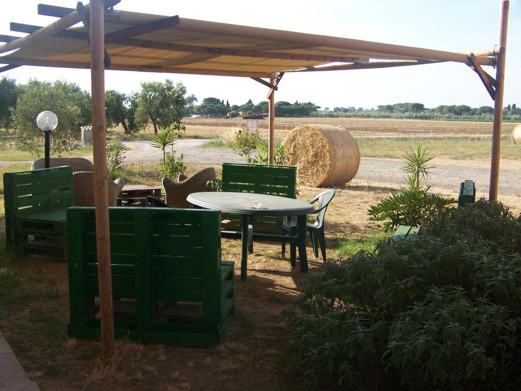 Agriturismo La Nocciolina 벤투리나 외부 사진